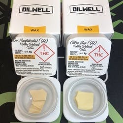 Gelato